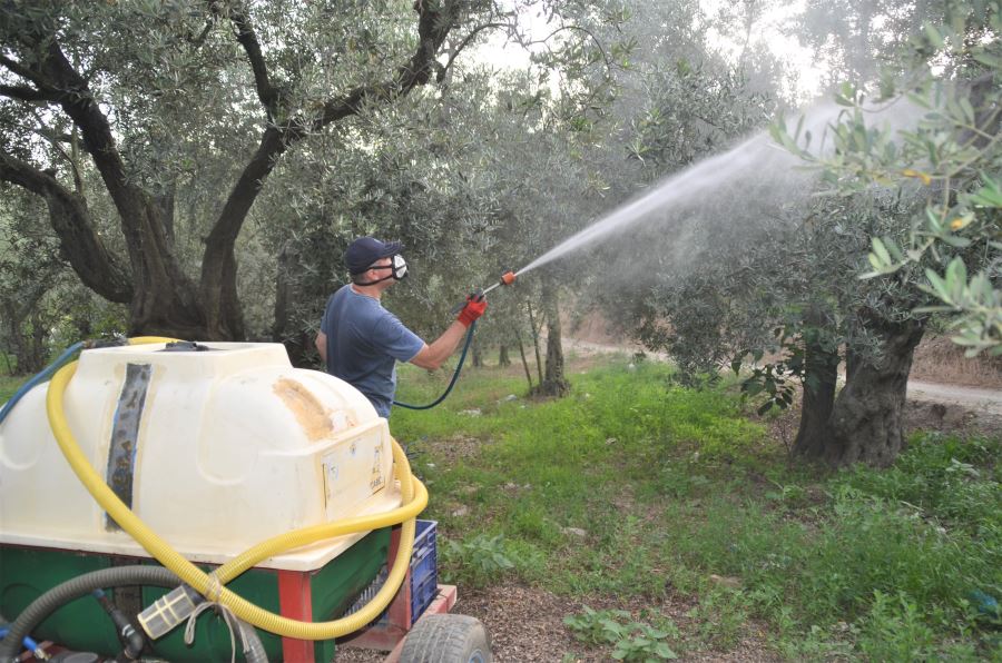 Zeytin üreticilerine ilaçlama uyarısı