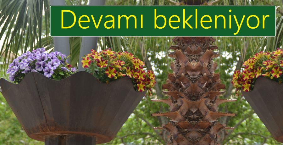 Devamı bekleniyor!...