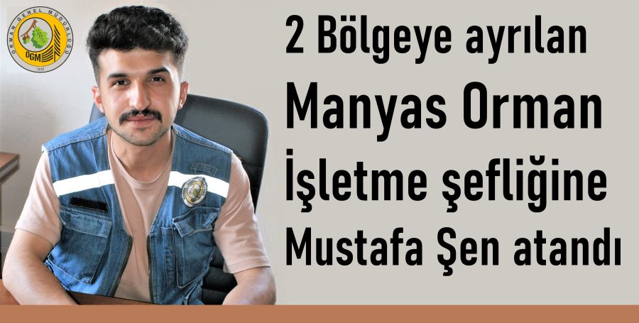 Manyas Ormanları iki bölgeye ayrıldı.