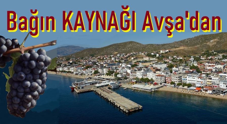Avşa’da çalıştay düzenlenecek