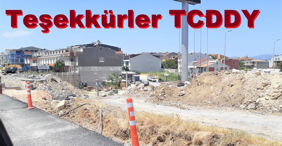 TCDDY