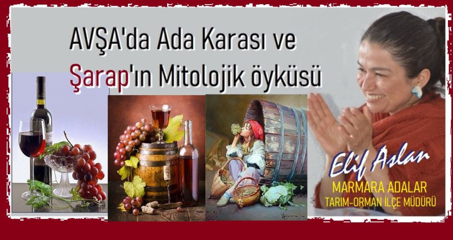 Marmara İlçe Tarım Müdürü’nden şarabın mitolojik öyküsü