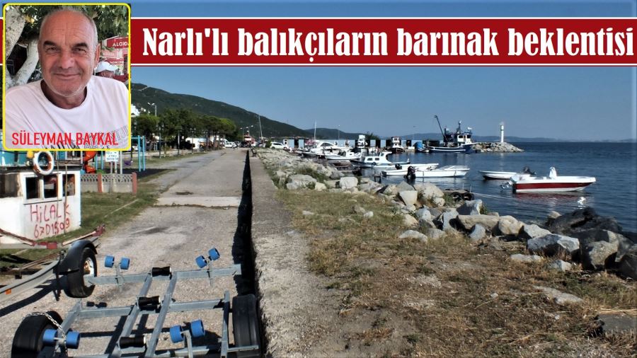 Narlı