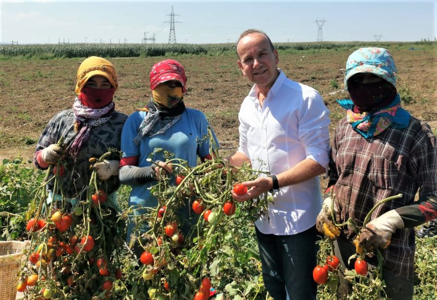 Başkan Panç, Domates üreticilerini dinledi.