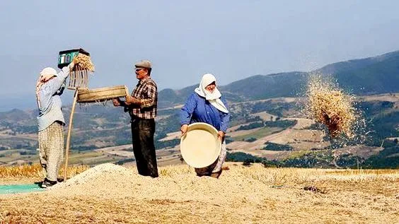 Çiftçi Kayıt Sistemi Yönetmeliği