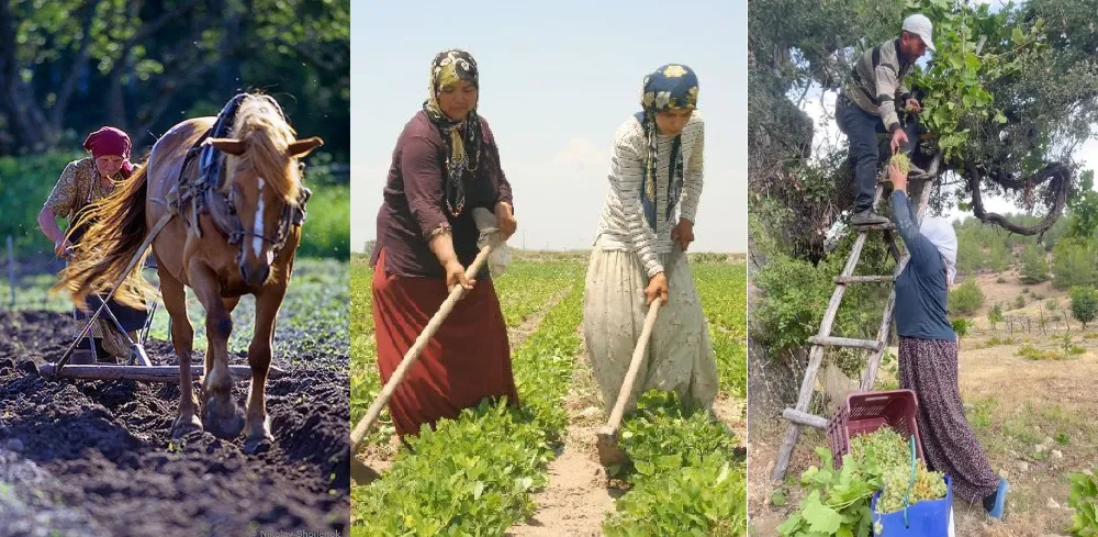 Çiftçi Kayıt Sistemi