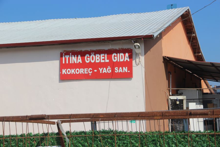 Göbel