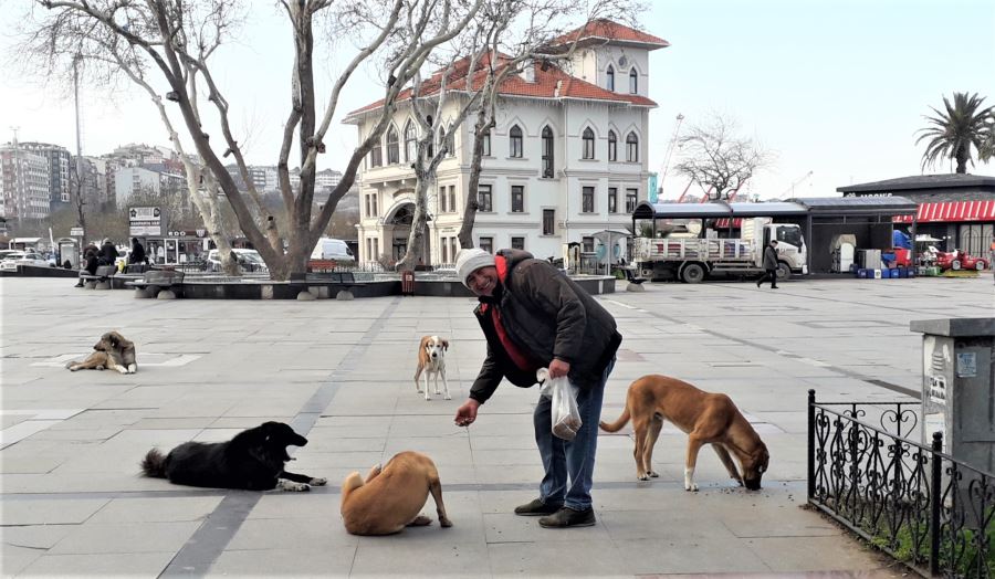 KÖPEKLERİ İÇİN BİR ÖĞÜN YİYİYOR