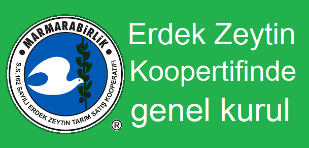 Erdek zeytin kooperatifinde 3 liste yarışıyor