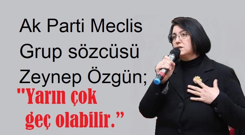 ZEYNEP ÖZGÜN: 