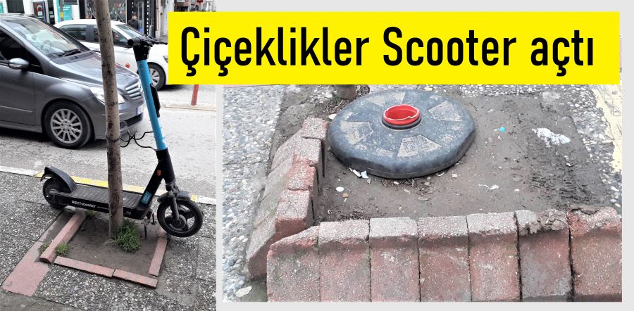 Ağaçlar Scooter açtı