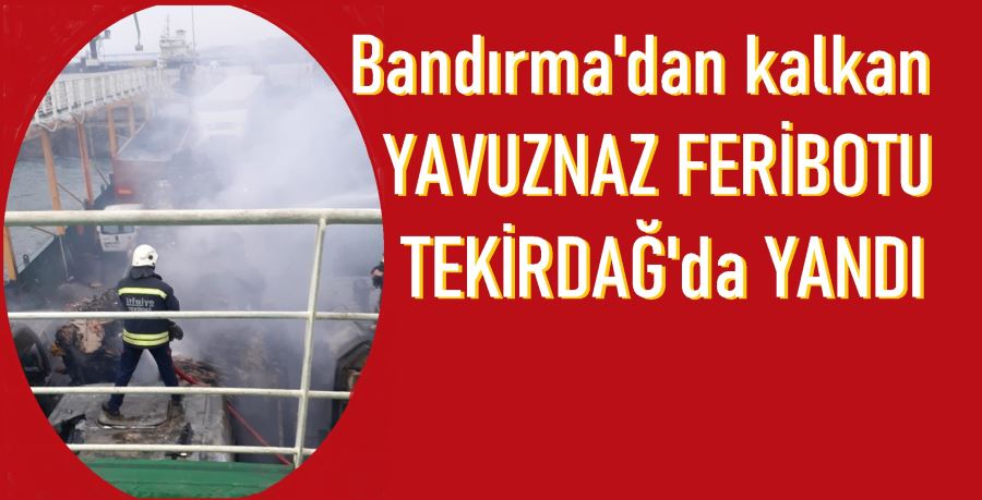 Ro Ro yangınında  1 Otomobil 12 kamyon yandı