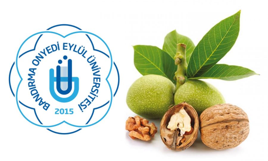 Ceviz Araştırma Enstitüsü kurulması isteniyor