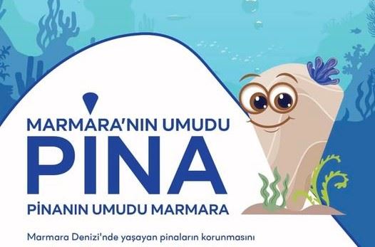 Erdek’te PİNA etkinliği