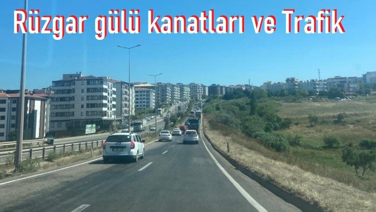 Bu Liman