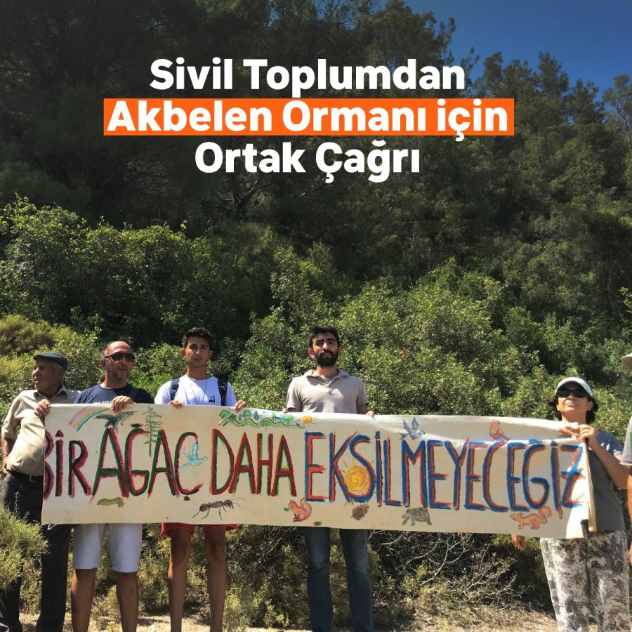 Akbelen Ormanı’nın korunması için  sivil toplum kuruluşlarından ortak çağrı!