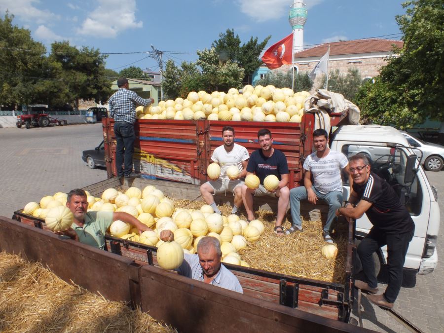 Kavun diyarı Yeşil Çomlu