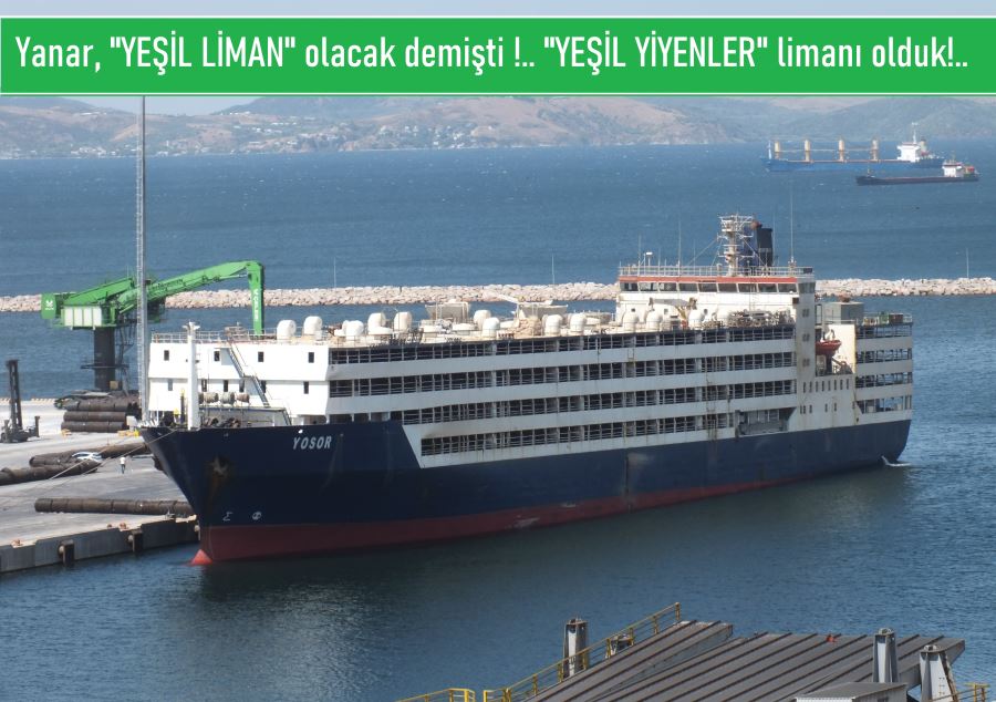 Çelebi Müdürü M. Yanar