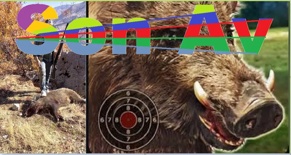 Domuz avında kaza kurşununa kurban gitti... 