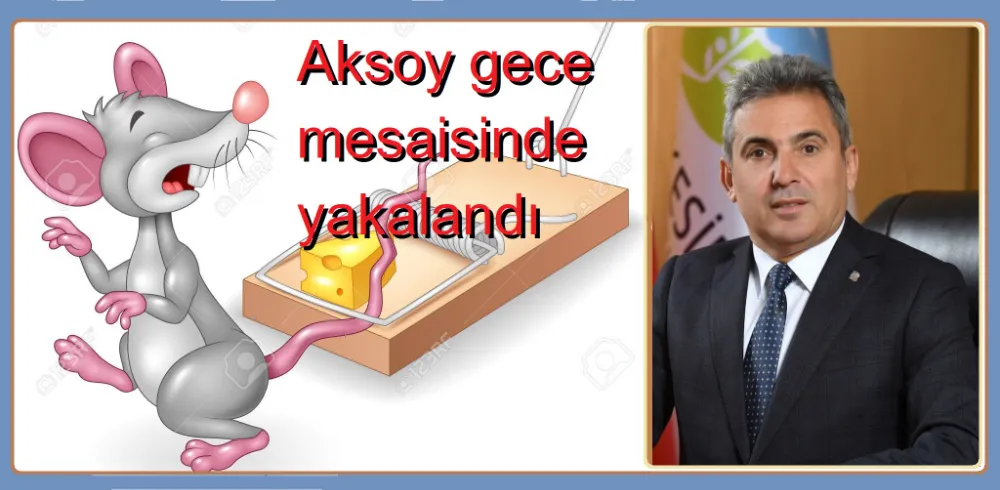 Aksoy