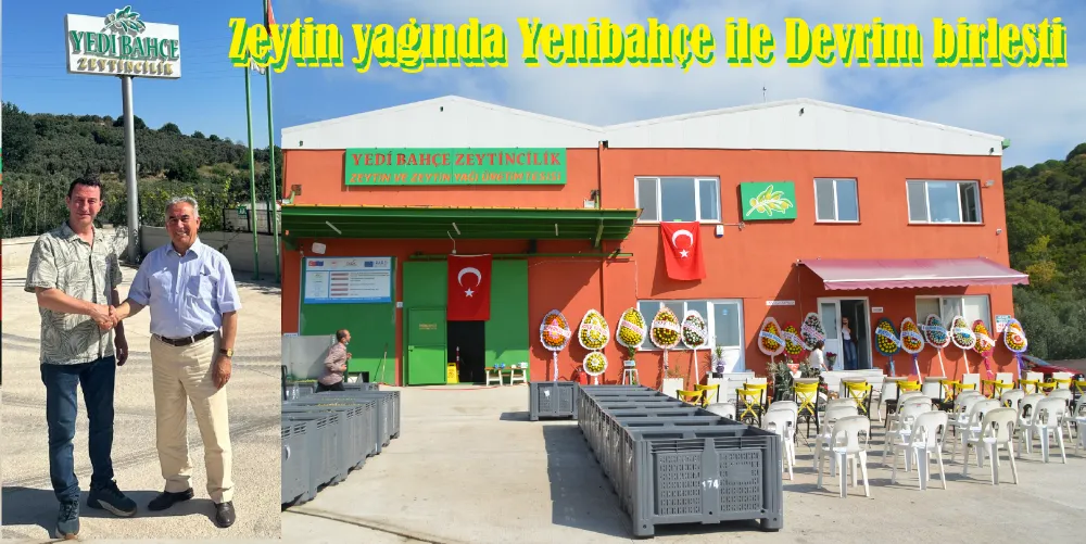 Devrim zeytinyağ