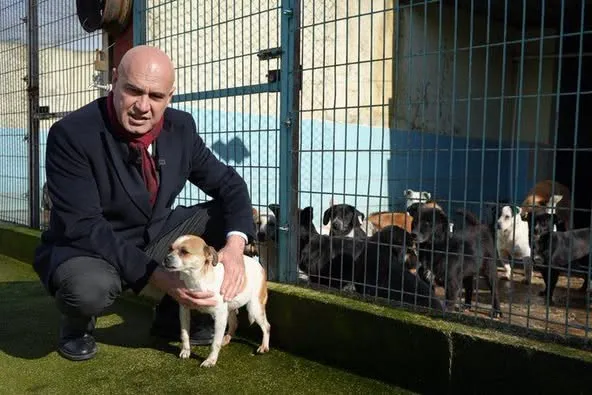 Çömez: “Batırdınız ülkeyi!”