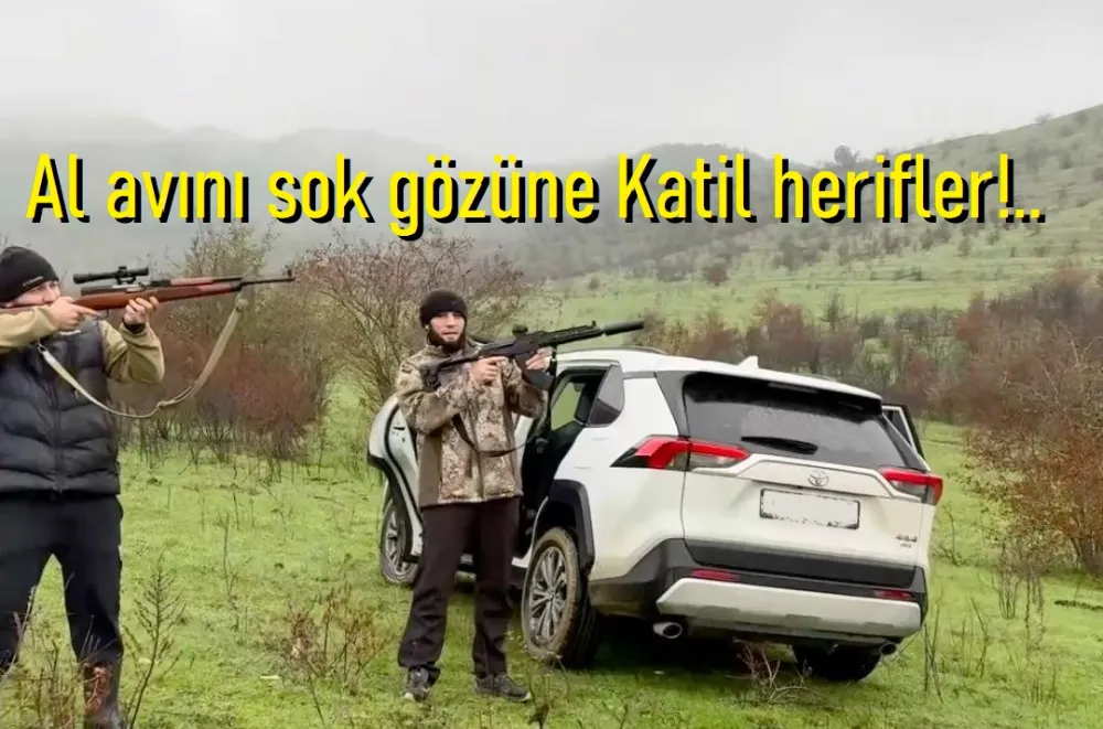 Av değil, Av adı ile yaban hayatı katliamı