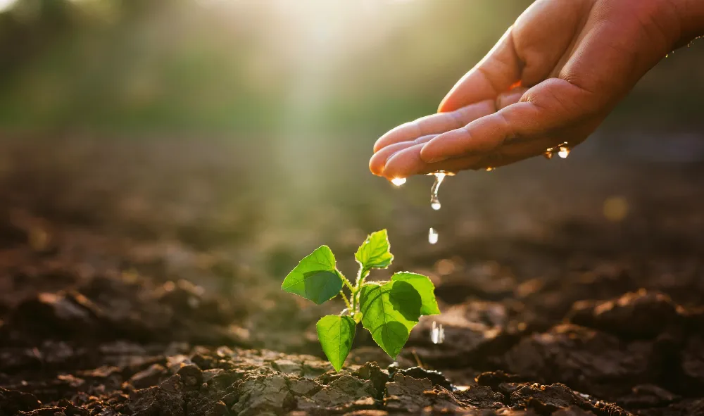 TEMA Vakfı: Toprak Yoksa Su, Su Yoksa Gıda Yok!