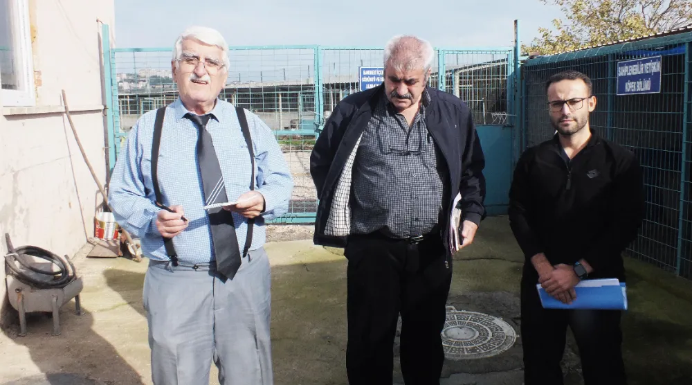 Bandırma’da sokak hayvanları sahipsiz değil.