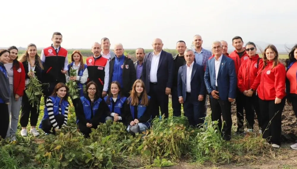 “Kazak Fasulyesi Hasat Festivali” düzenlendi