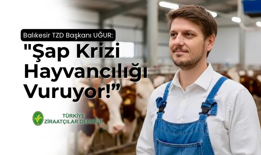 Şap krizi hayvancılığı vuruyor! Tarım Bakanlığı acil desteğe çağrıldı