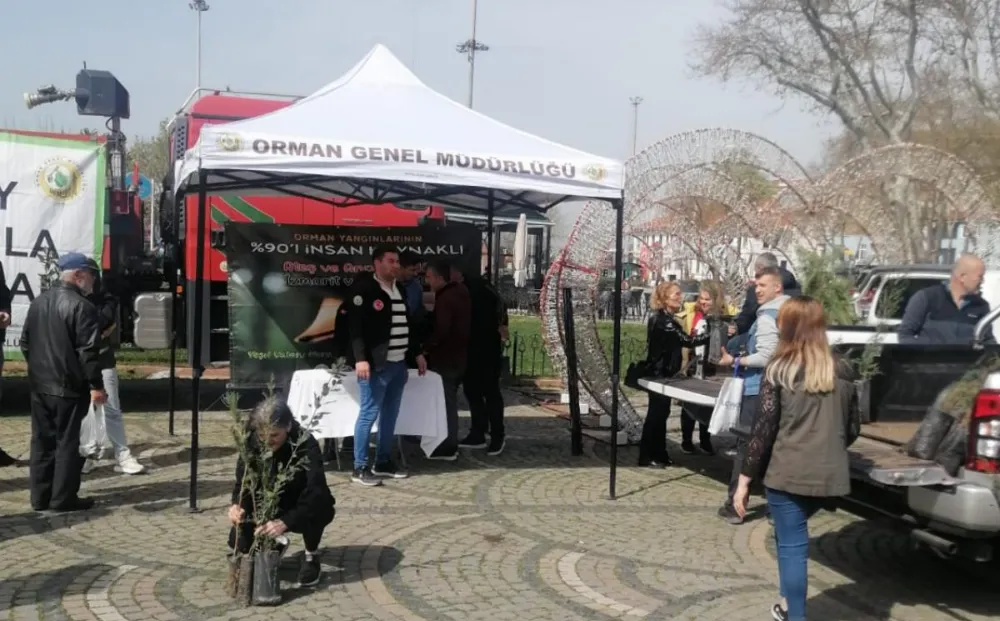 Orman