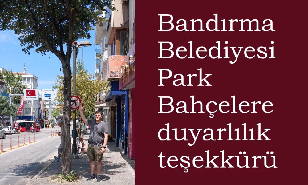 AĞAÇLAR BAKIMA ALINDI 