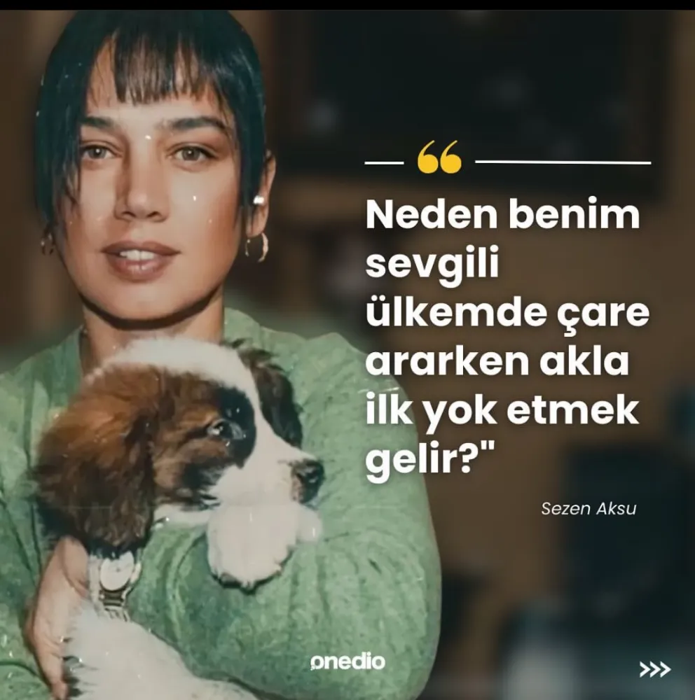 Hayvan katilleri cezasız kalıyor!