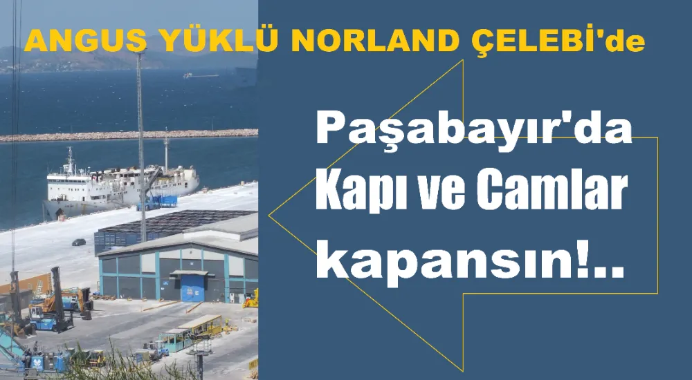 Paşabayır, ANGUS kokusundan kapı, pencere açamıyor!...