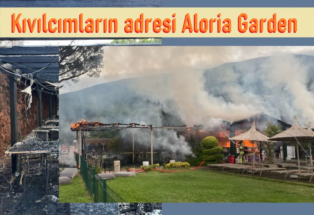Ocaklar