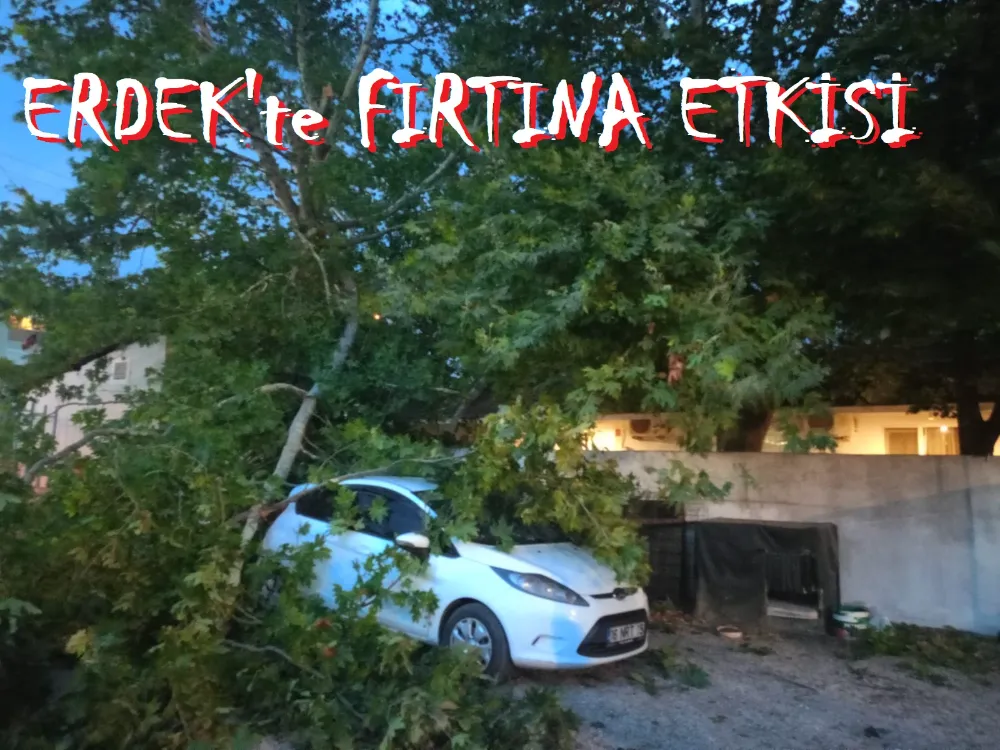 Otel garajındaki otomobilin üzerine ÇINAR ağacı düştü
