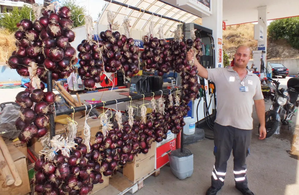 Ballıpınar MOR