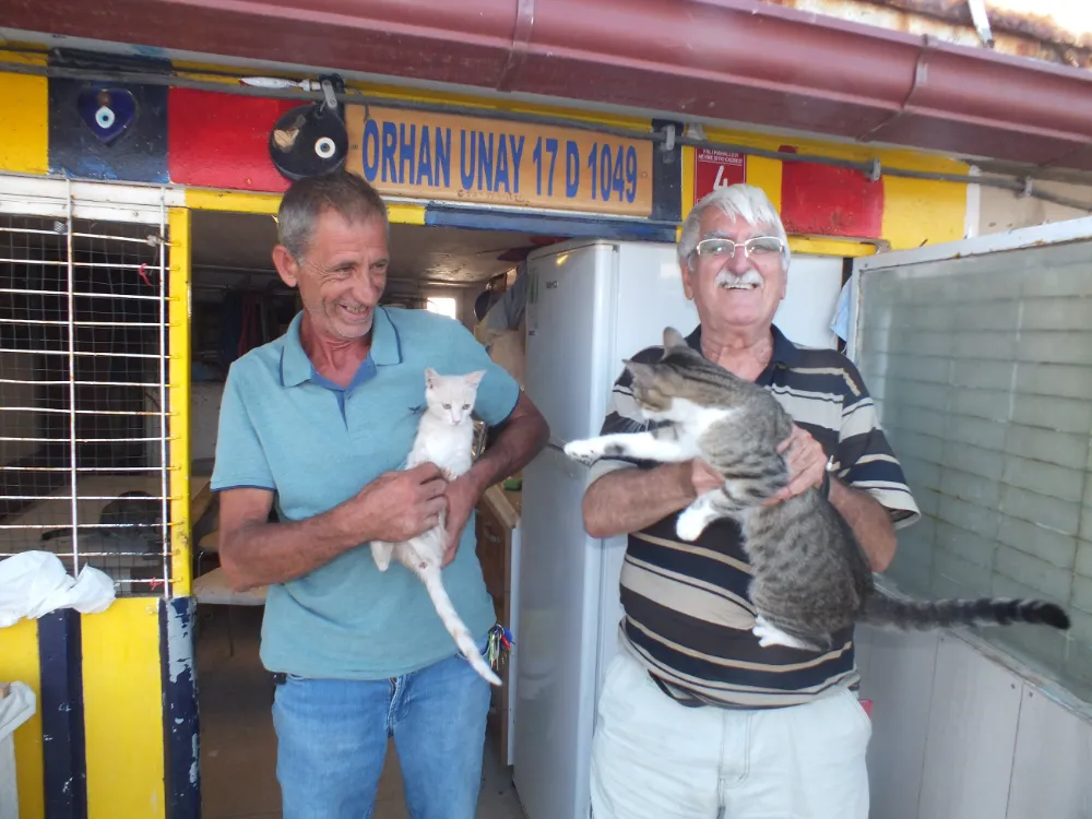 Erdek’te örnek bir kedi dostu!