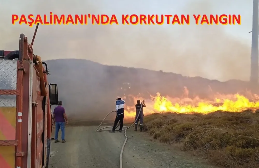 Paşalimanı alev alev