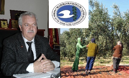  6 milyon kilo sofralık, 2 milyon kilo yağlık zeytin alınmış olacak.