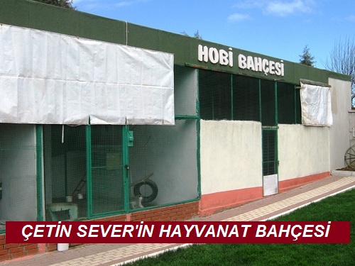 Bandırma