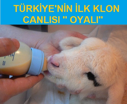Türkiye