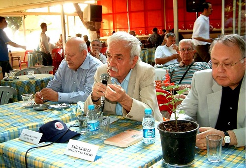 Güreli