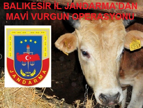 Jandarma`dan Büyük Operasyon