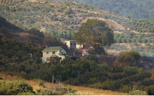 Yine ciğerlerimiz yandı