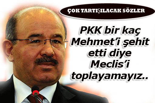 ``Birkaç Mehmet şehit oldu diye Meclis toplanmaz``