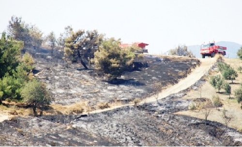 Karşıyaka`da ki orman yangınına olağan üstü operasyon