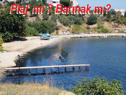 Barınak mı ? Plaj mı ?