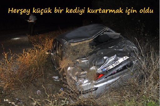 Kediyi kurtardı ama !...